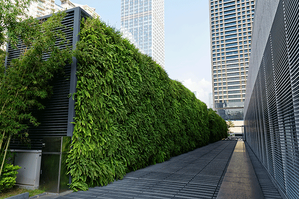 mur végétalisé architecture urbanisme